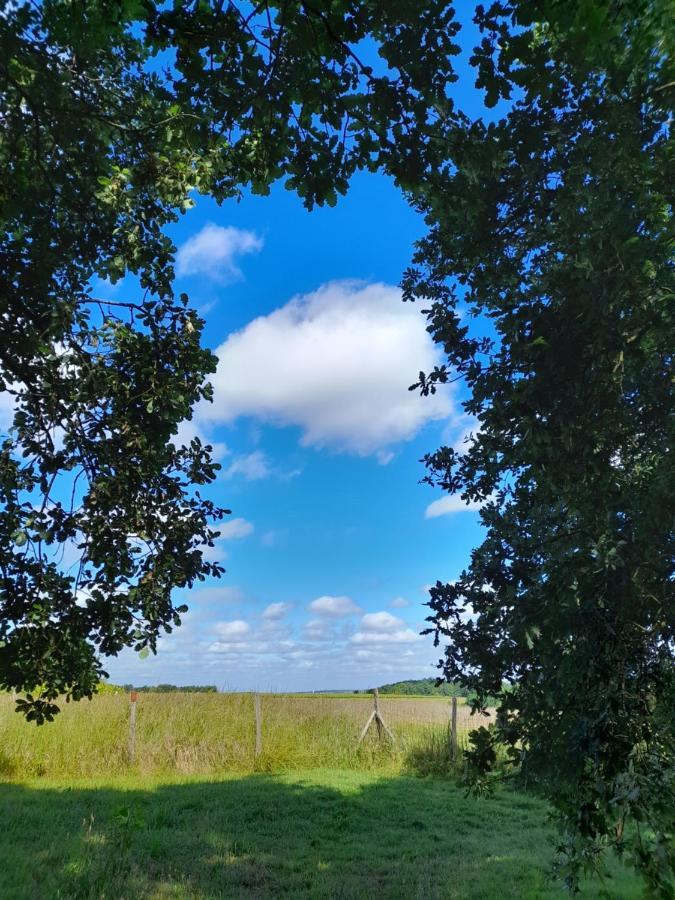 le clos de épinettes Angé Esterno foto
